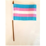 Transgender 10 x 15 cm. Stick Flag